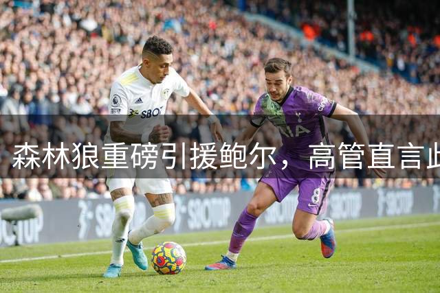 森林狼重磅引援鲍尔，高管直言此举将重塑球队进攻体系